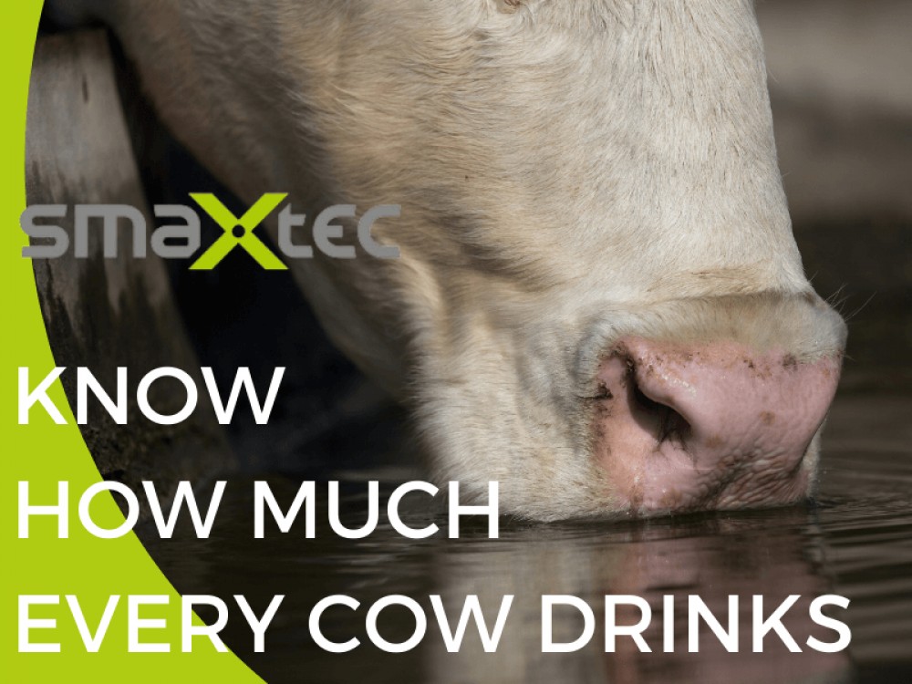 Know How Much Every Cow Drinks Farm Compare