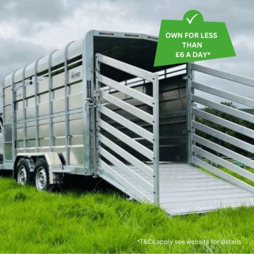 M-Tec 12x6ft Twin Axle Livestock Trailer